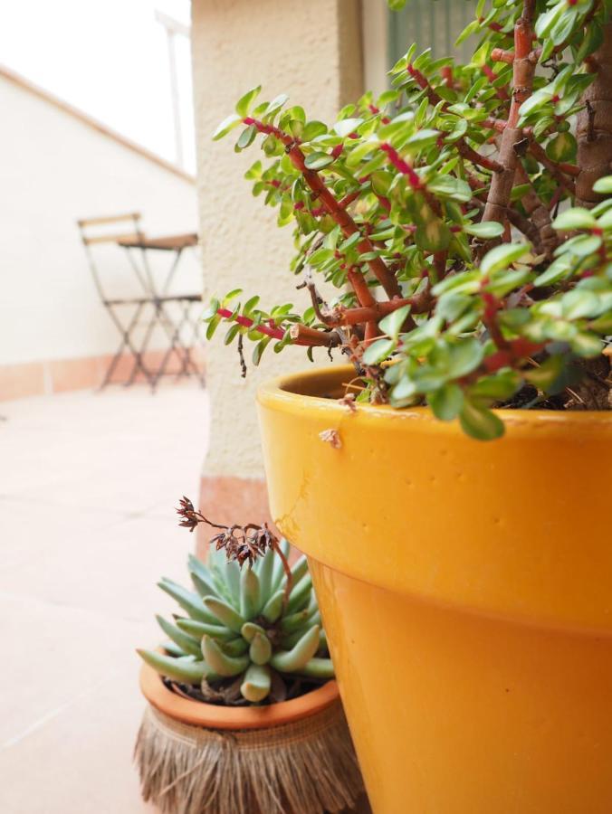 Apartaments La Rambla - Arbequina - 6 Persones コルノデイヤ エクステリア 写真
